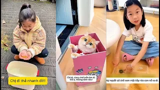 Bé Gái Giải Cứu Chuột Hamster Bị Bỏ Rơi! Nhưng Khi Mang Về Nhà… Điều Bất Ngờ Khiến Cả Nhà Hoảng Hốt!