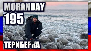 ТЕРИБЕРКА: ХОЛОДНО И КРАСИВО 🇷🇺 Moran Day 195