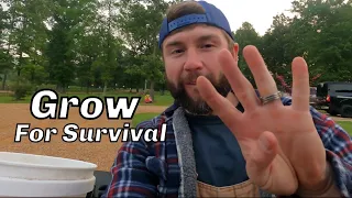 Top 4 Vegetables That You Should ALWAYS Grow In A Garden (Preparing For Worldwide Food Shortage)