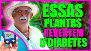 SE EU TIVESSE DIABETES HOJE, EU TOMARIA O CHÁ DE UMA DESSAS 5 PLANTAS