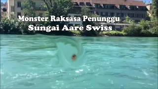 Monster Raksasa Penunggu Sungai Aare Swiss