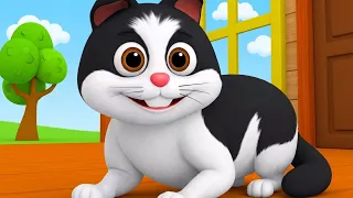 Meow Meow Billi Karti Meow | म्याऊं म्याऊं बिल्ली करती म्याऊँ | Cute Cat Song & Hindi Rhymes For Kid