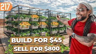 How this NASA Secret Could Turn Your Backyard Into $10K/Month