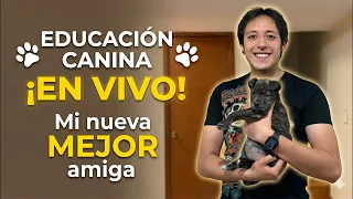 Educando a una cachorra 🐾 || En Vivo 🔴