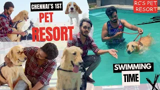 Day Out With Reggie || RC’s Pet Resort || Pet Restaurant || Dog Swimming Pool