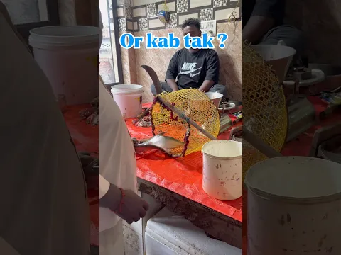 Happy or not ? Karma kia hai sirf maine apna |#savefish #shorts