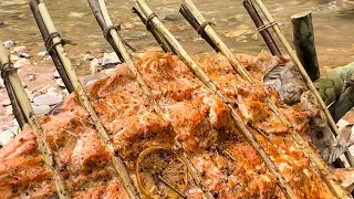Doğada Somon Balığı Pişirme I Delicious Campfire Smoked Salmon I Bushcraft Style Cooking ASMR