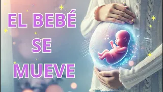 Música para Bebés en el Vientre 🤰💗 | Calma y Conexión Durante el Embarazo