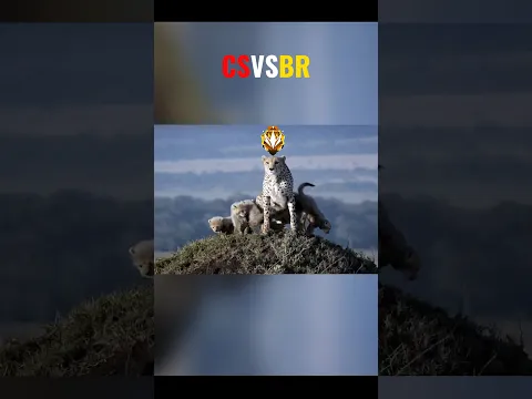 FFmax rank logo edit | #wildanimal #foryou | cheetah vs lion | #CsVsBr #freefiremax #short
