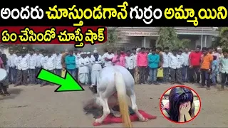 కేవలం 2 నిమిషాల్లో అందరు చూస్తుండగానే ఈ గుర్రం ఈ అమ్మాయిని ఏం చేసిందో చూస్తే మీరే షాక్