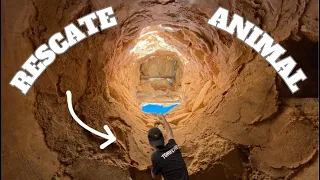 ASI RESCATAMOS ANIMALES por Barcelona / No imitar ⚠️