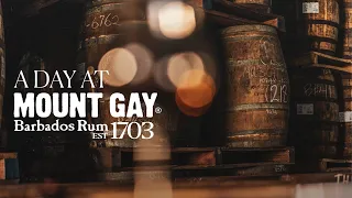A Day at Mount Gay