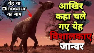 येह है dinosaur का बाप पैरासेरााथेरिएम, जो दुनिया के सबसे बदे स्तनधारी जिउ थे paraceratherium hindi