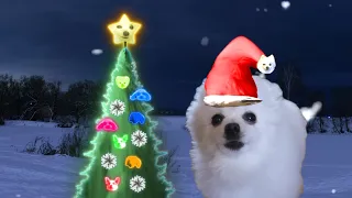 크리스마스 개롤 (Feliz NaviDOG)