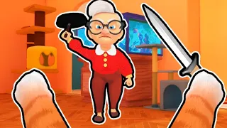 jugando el gato y la abuela parte 1 😁