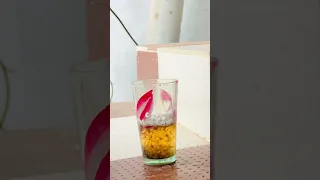 Fewi quicks experiment 😂 #shorts #experiment #fun #viral #trendingshorts