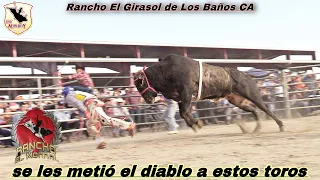 SE LE METIO EL DIABLO A ESTE TORO¡¡RANCHO EL MORRAL EN RANCHO EL GIRASOL DE LOS BAÑOS CA.2021