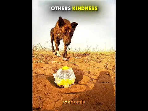 Others Kindness VS This Guy 🥺❤️‍🩹