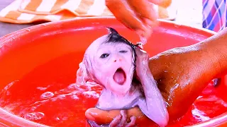 Baby monkey LivLiv taking shower before getting milk |Animals MT|