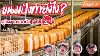 โรงงานขนมปังผลิตวันละ 2,000,000 ชิ้น ทำกันยังไง? - ทัศนศึกษา