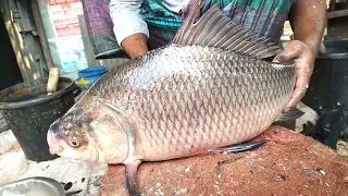 Amazing Cutting Skills Catla Carp Fish Cutting In Bangladeshi Fish Market