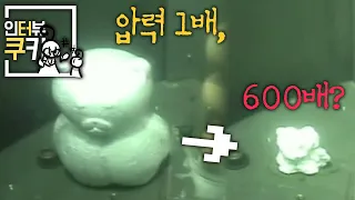 수심 6000m 심해 환경에 스티로폼 곰을 집어 넣어봤더니 그 결과는? | 인터뷰쿠키 EP02