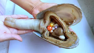 So weird! A 20-year-old giant geoduck with orange pearls inside.