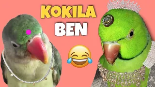 Kokila Ben famous dialogue 😂 ~ Free wala Biscuit 🍪😜