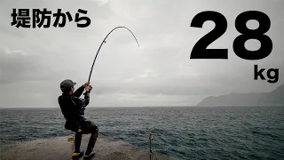 神回...離島で夢が叶う！堤防から28kgの巨大魚GTがブッコミに食らいついた！