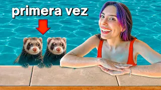 MIS HURONAS SE METEN A LA PISCINA POR PRIMERA VEZ !!