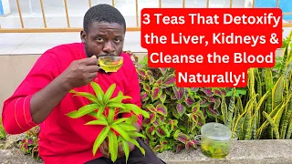3 Powerful Jamaican Herbal Teas for Liver, Kidney & Blood Cleansing | Natural Total Body Reset