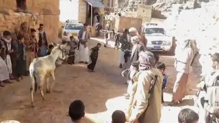برعة قحقاح وشنطاح