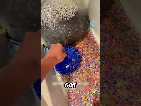 The ending is just a cringe😪