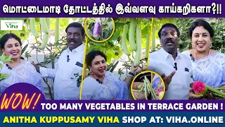 எங்கள் மொட்டைமாடியில் காய்கறி தோட்டம் | Our Terrace Garden Tour | AnithaKuppusamy Maadi Thottam