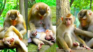 Great Job! Libby Ca,res Leo Even If  Baby Is Big & Leo Wai/ts for Milk | Leo Is Big & Hilarious.