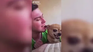 Смешные питомцы и их хозяева.