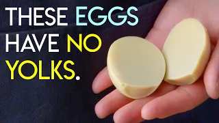 Chinese 'Solid' Eggs (实蛋)