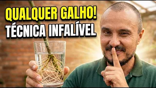 Técnica para enraizar qualquer galho sem gastar 1 real