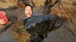 挑战堪比篮球场的巨坑，突然十几斤大石斑窜出水面，这一条价值不菲