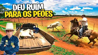 PEÕES NÃO DERAM CONTA DE LAÇAR ESSE TOURO NELORE! Deu RuiM