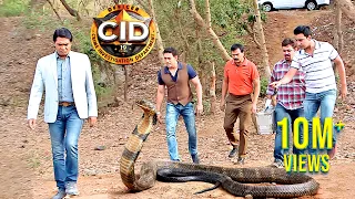 বন্য সাপটিকে ধরতে পুরো সিআইডি টিম এসে পৌঁছেছে || latest episode CID 2025 ||