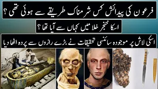 Scientist Found How Egyptian King Ramses ii Was born