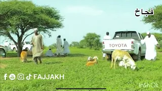 الخريف في بادية السودان منطقة البطانة