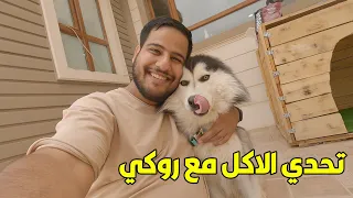 جربت أضم اشياء وخلي روكي يدور عليها 😂