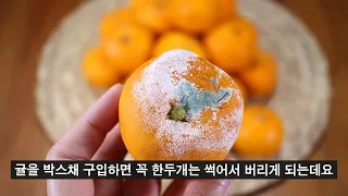 귤은 이렇게 보관해야 썩지 않는다는 사실을 알았습니다💯 앞으로 귤 썩어서 버릴일은 없을것 같네요~ / 겨울 내내 써먹는 귤 보관법