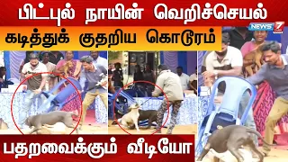 பிட்புல் நாயின் வெறிச்செயல் : கடித்துக் குதறிய கொடூரம்- பதறவைக்கும் வீடியோ | Pit Bull Attack Video