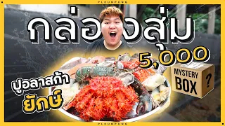 โคตรยำจากกล่องสุ่มอาหารทะเล 5,000 บาท - เพลินพุง