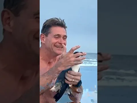 He ended up making friends with a seagull 😂