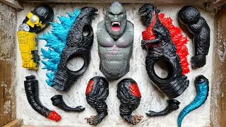 Godzilla x Kong vs Shin Godzilla - Quick Assemble