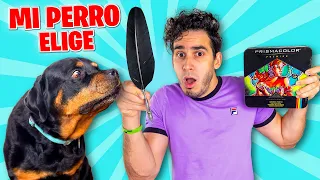 MI PERRO DECIDE MIS MATERIALES PARA DIBUJAR 2 ! Marcadores, Lápices, Acuarelas, etc HaroldArtist